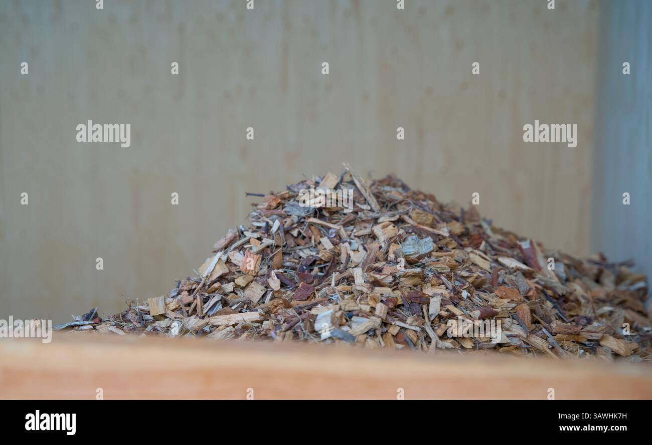 Trucioli di legno per alimentare un riscaldamento a biomassa. Energia a emissioni zero. Foto Stock