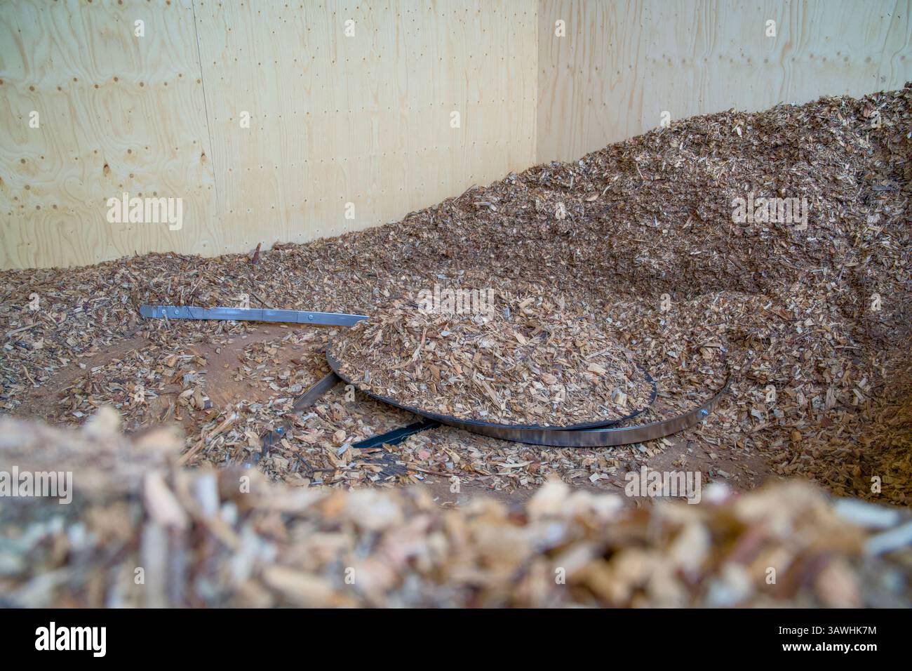 Trucioli di legno per alimentare un riscaldamento a biomassa. Energia a emissioni zero. Foto Stock