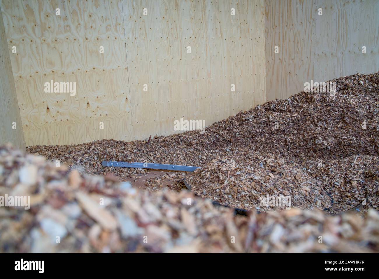 Trucioli di legno per alimentare un riscaldamento a biomassa. Energia a emissioni zero. Foto Stock