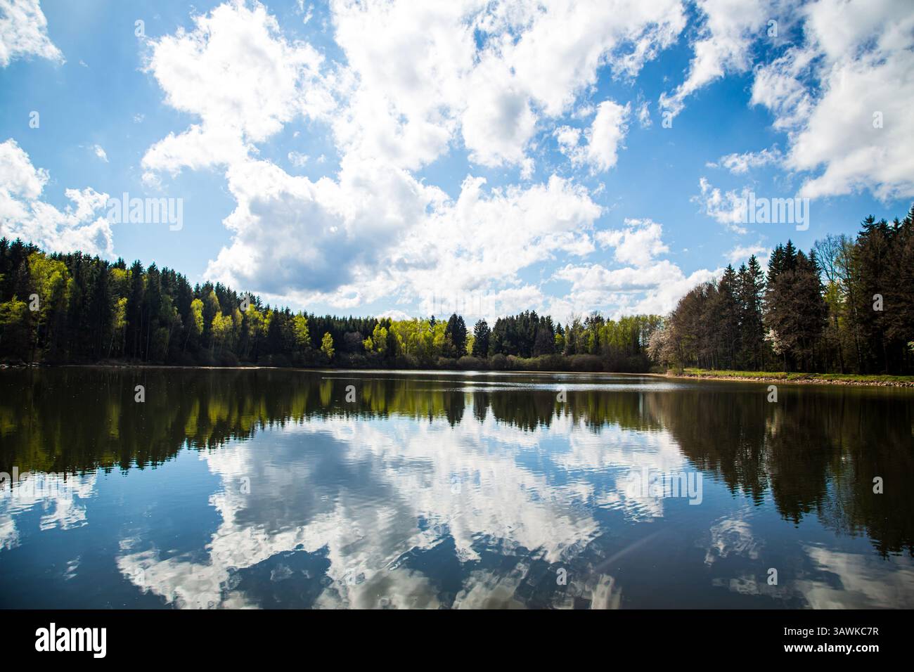 Grünbachteich, Weitra, Waldviertel, Austria Foto Stock
