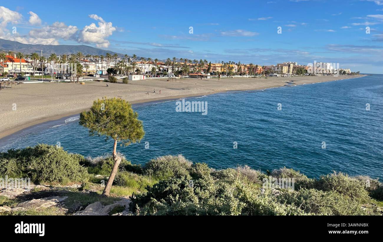 Vista sulla spiaggia di Salobreña, Granada, Andalucía, Spagna da El Peñon con un albero in primo piano. - Immagine stock catturata con smartphone