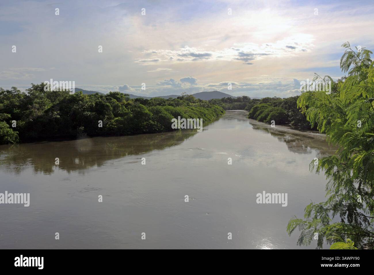 "Fiumi che tagliano le mangrovie" Foto Stock