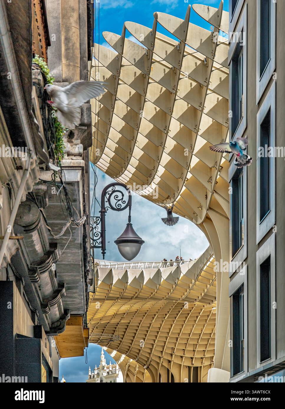 I piccioni salgono in cielo mentre Las Setas si innalza su via Puente y Pellón a Siviglia, creando un'affascinante miscela di architettura e natura. Foto Stock