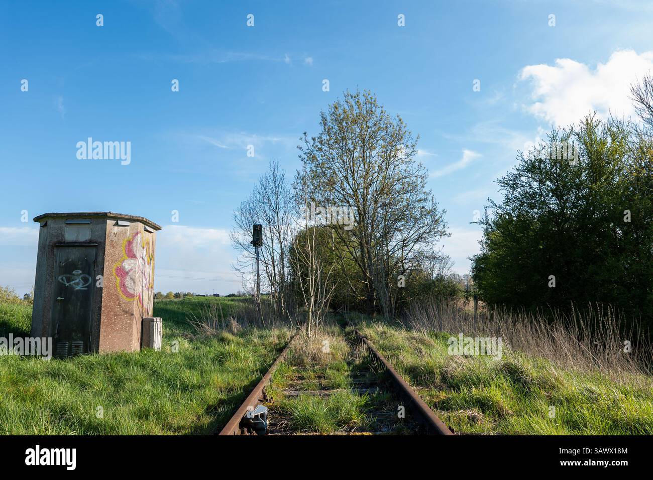 Binari ferroviari abbandonati con Graffiti Shed e Trees Under Blue Sky Foto Stock