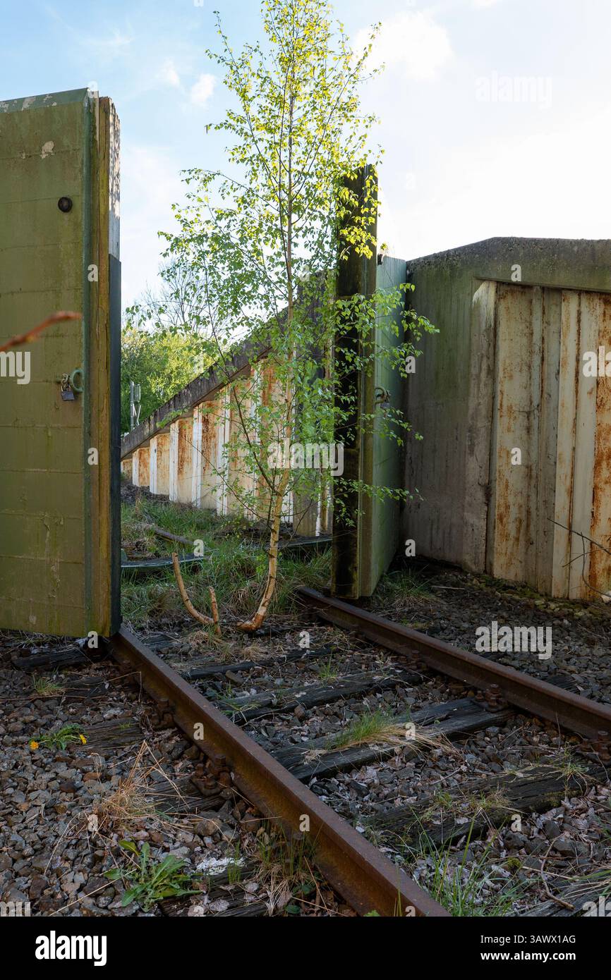 Binario ferroviario abbandonato con vegetazione sovrastata e strutture in cemento Foto Stock