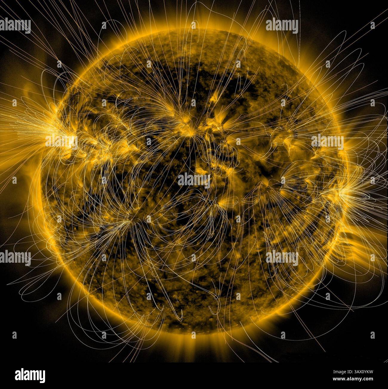 12 marzo 2016 - CREDITO: NASA/SDO/AIA/LMSAL/NASA....raffigurazione dei campi magnetici del sole. Il campo magnetico del Sole - 12 marzo 2016..questa illustrazione pone una rappresentazione dei campi magnetici del sole su un'immagine catturata dall'Osservatorio della dinamica solare della NASA il 12 marzo 2016. La complessa sovrapposizione di linee può insegnare agli scienziati come il magnetismo del sole cambia in risposta al movimento costante dentro e dentro il sole. Si noti come i campi magnetici sono più densi vicino alle macchie luminose visibili sul sole? quali sono regioni attive magneticamente forti? e molte delle linee di campo collegano un acti Foto Stock