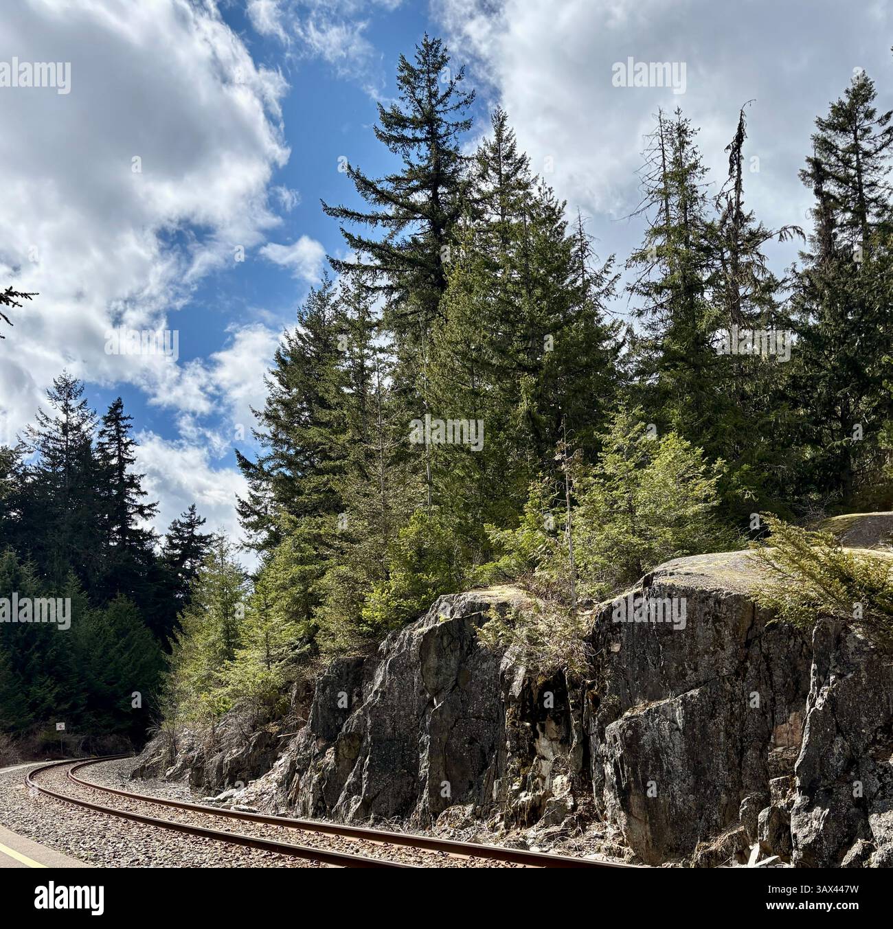 Ferrovia curva attraverso una foresta di montagna - Immagine stock catturata con smartphone
