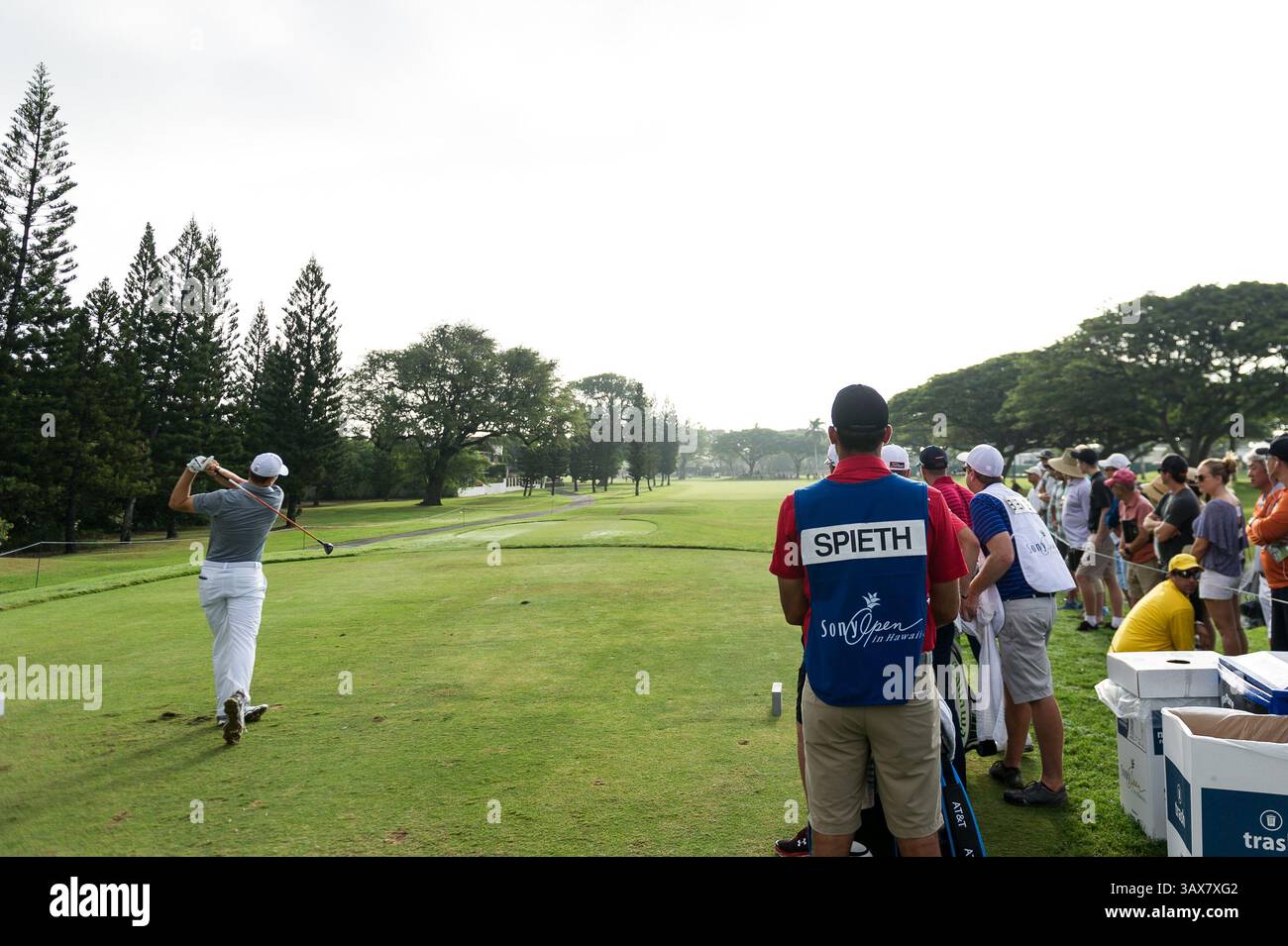 12 gennaio 2017 - durante il primo round del PGA Sony Open alle Hawaii al Waialae Country Club di Honolulu, HI. - Steven Erler/CSM(immagine di credito: &Copy; Steven Erler/CSM via cavo ZUMA) Foto Stock