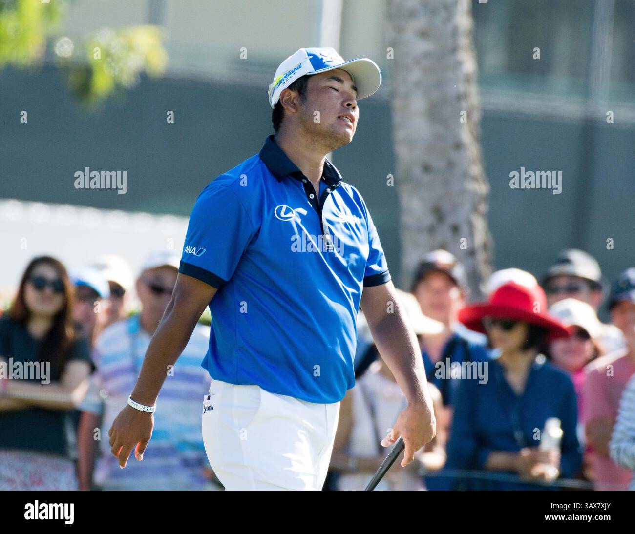 12 gennaio 2017 - durante il primo round del PGA Sony Open alle Hawaii al Waialae Country Club di Honolulu, HI. - Steven Erler/CSM(immagine di credito: &Copy; Steven Erler/CSM via cavo ZUMA) Foto Stock