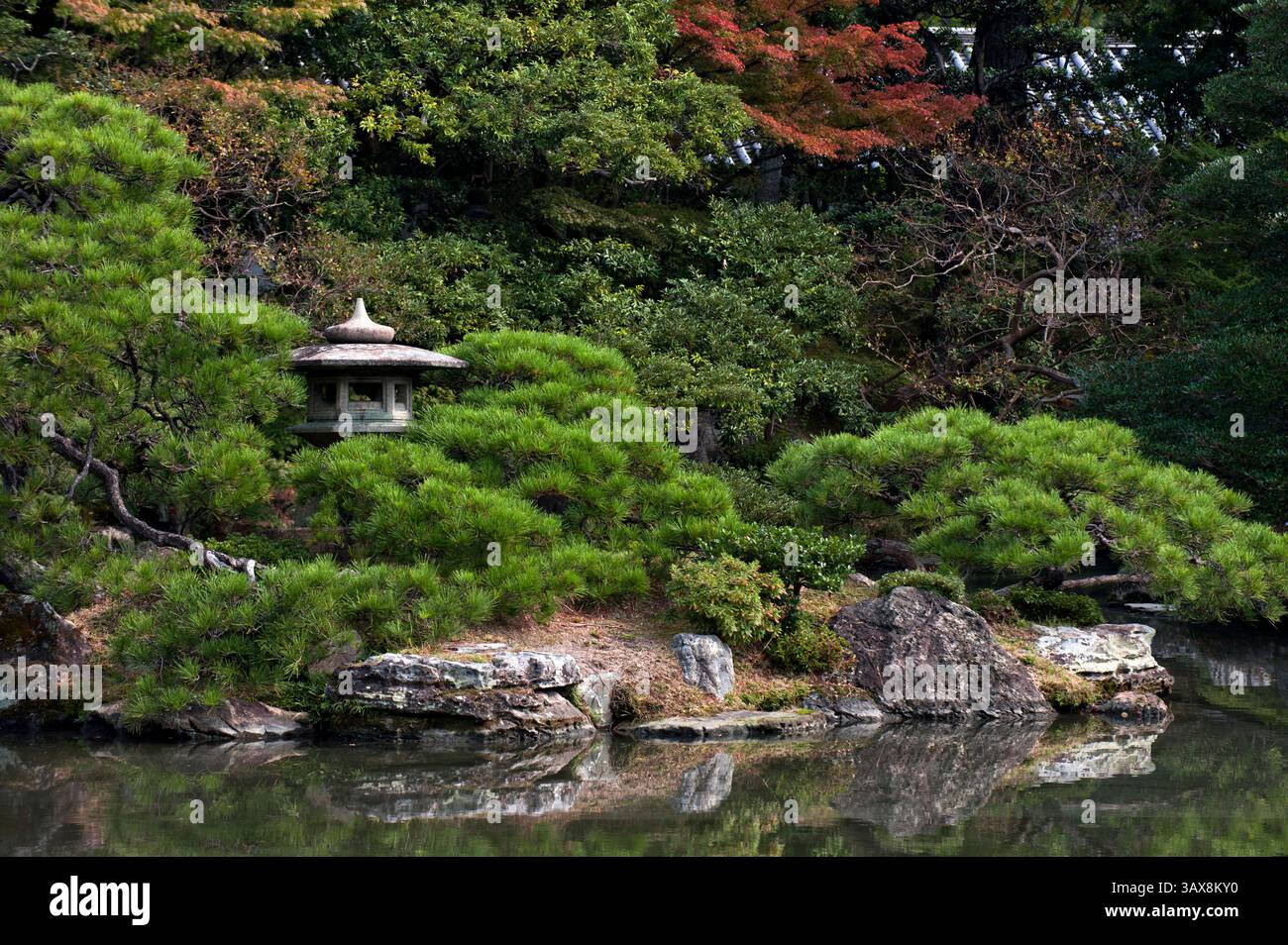 Un 'ishidoro' (lanterna di pietra) si trova tra alberi di pino nel paesaggio giapponese di Oikeniwa, giardino Gyoen presso il Palazzo Imperiale di Gosho a Kyoto, in Giappone. Foto Stock