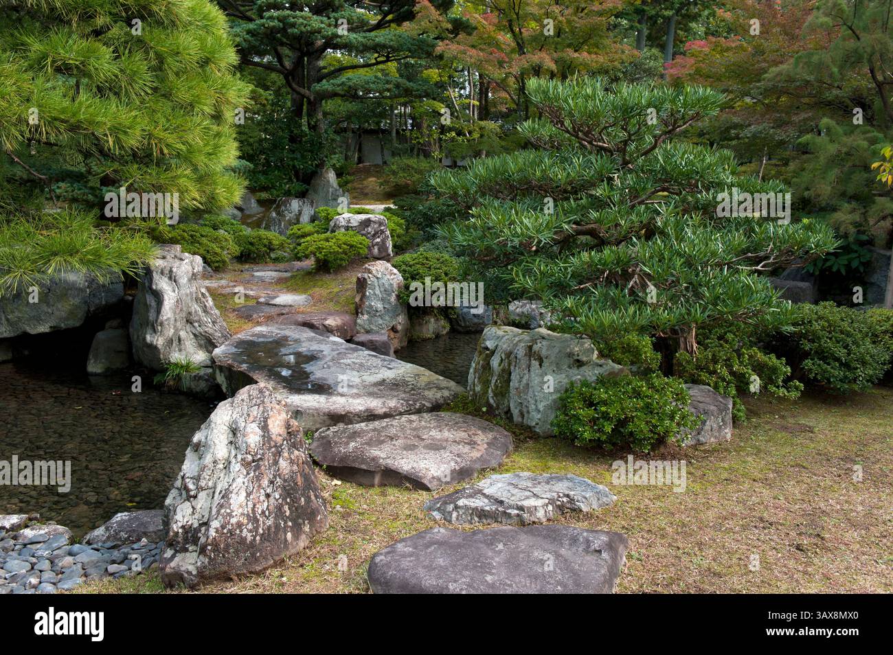 Percorso in pietra steppingstone che conduce ad un ponte di lastre di pietra naturale su un ruscello in Oikeniwa nel giardino paesaggistico del Palazzo Imperiale di Gosho, Kyoto, Giappone. Foto Stock
