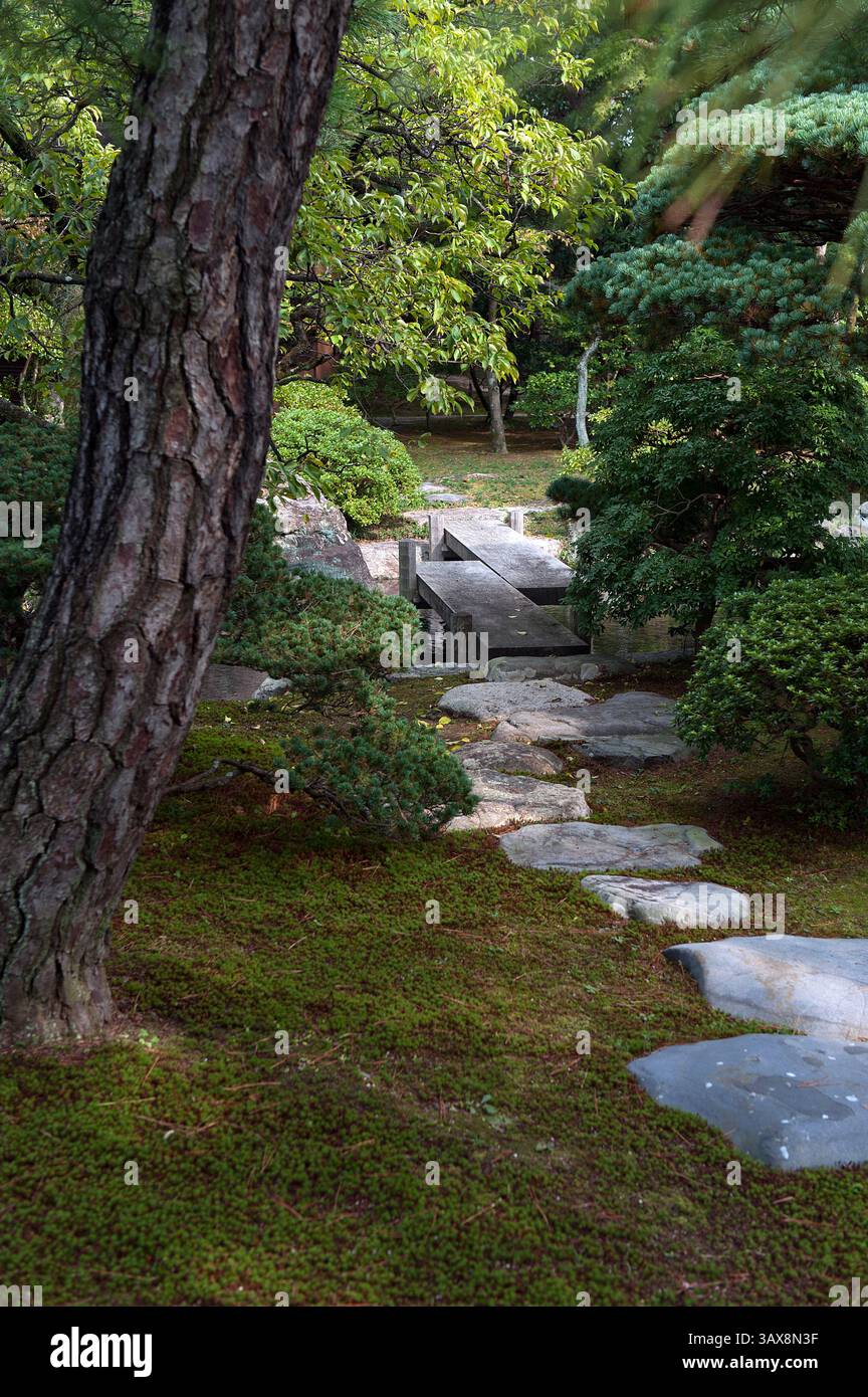 Percorso in pietra steppingstone attraverso il giardino di muschio che conduce ad un ponte di pietra a zigzag a Oikeniwa presso il giardino paesaggistico del Palazzo Imperiale di Gosho, Kyoto, Giappone. Foto Stock