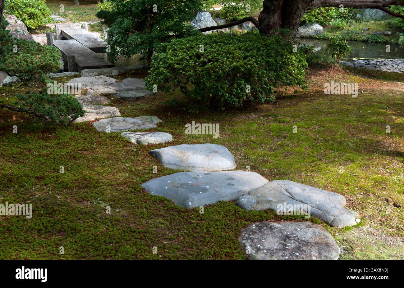 Percorso in pietra steppingstone attraverso il giardino di muschio che conduce ad un ponte di pietra a zigzag a Oikeniwa presso il giardino paesaggistico del Palazzo Imperiale di Gosho, Kyoto, Giappone. Foto Stock