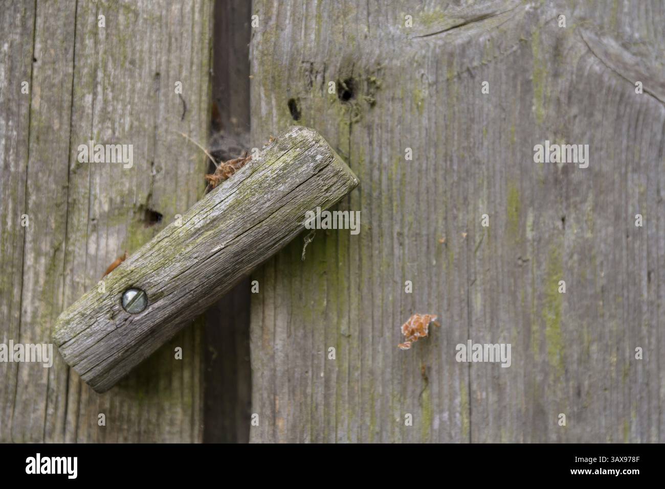 Vecchia porta rustica in legno di un fienile con maniglia ornamentale - primo piano Foto Stock