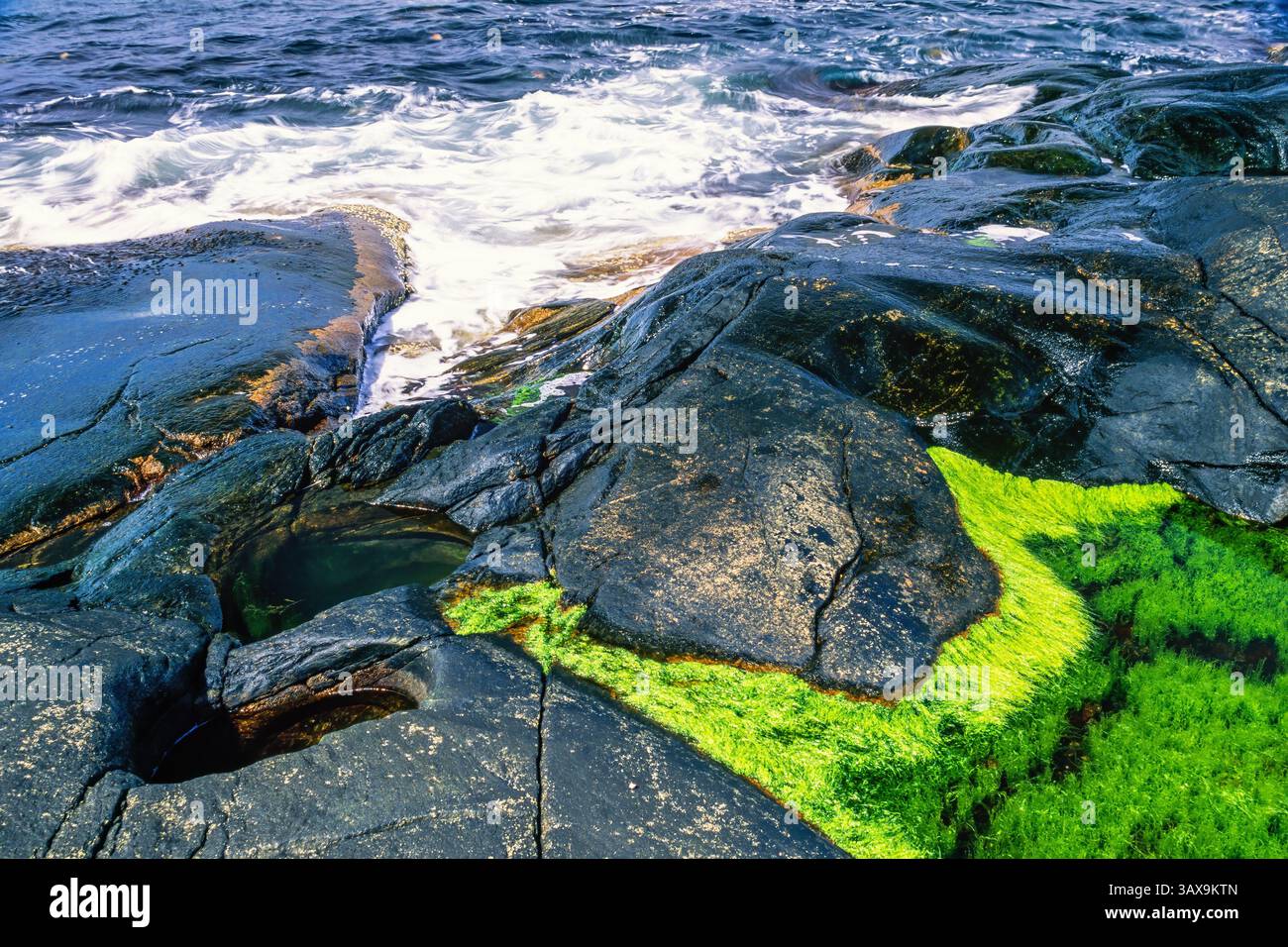Riva del mare su una costa rocciosa con buche glaciali nella roccia vicino al mare Foto Stock