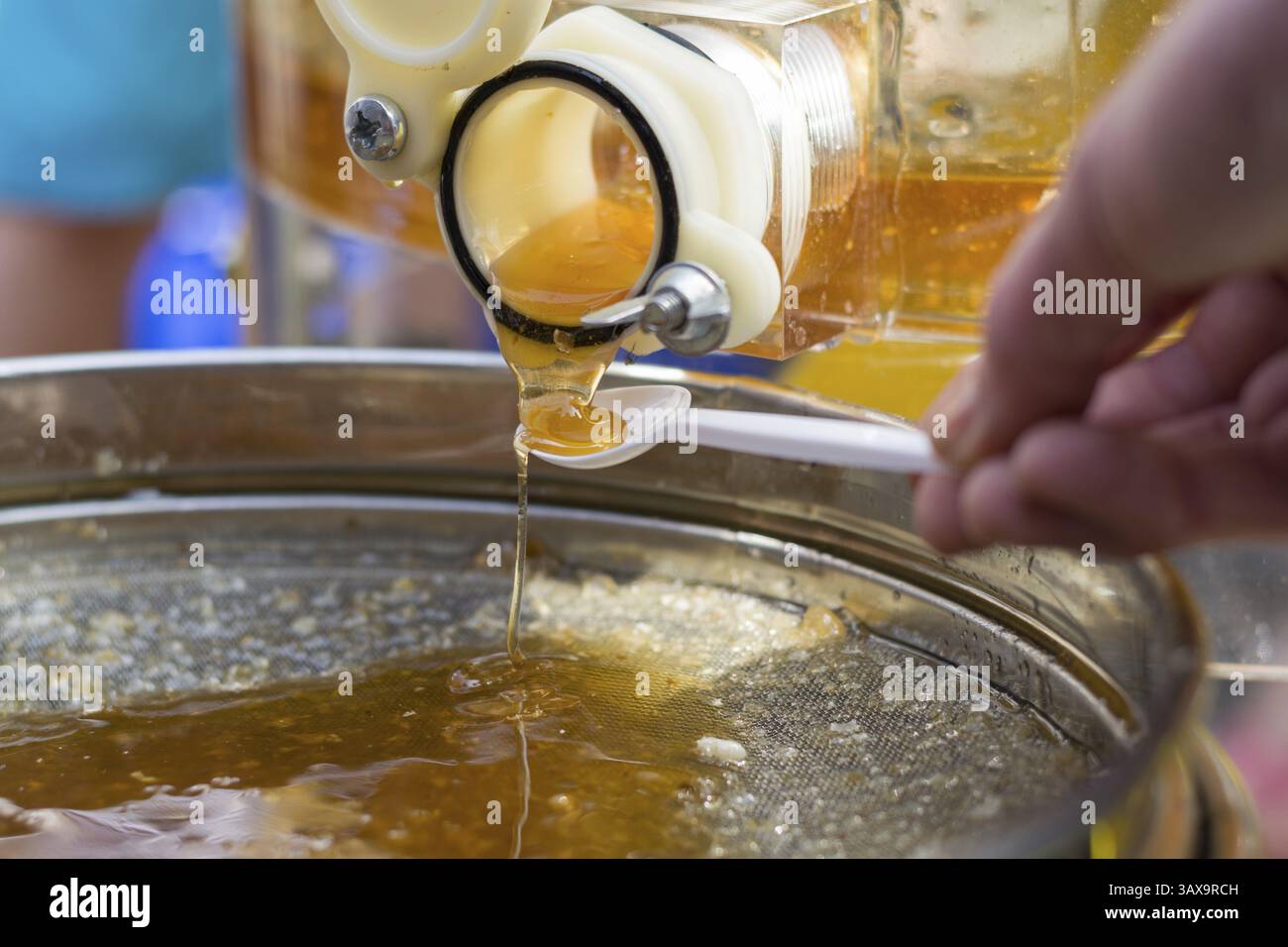 Il miele finisce dall'estrattore di miele attraverso il setaccio, l'Austria, l'Europa Foto Stock