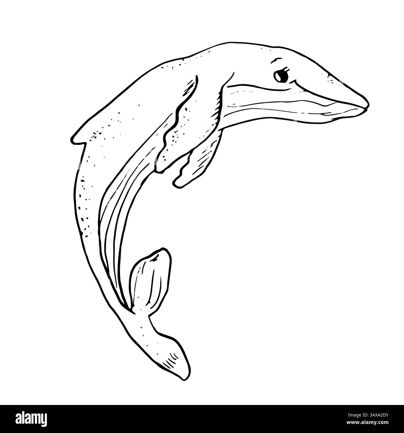 Megattere, schizzo di inchiostro bianco e nero. Illustrazione vettoriale. Un mammifero oceanico, isolato su sfondo bianco. Un disegno lineare di un animale marino Illustrazione Vettoriale