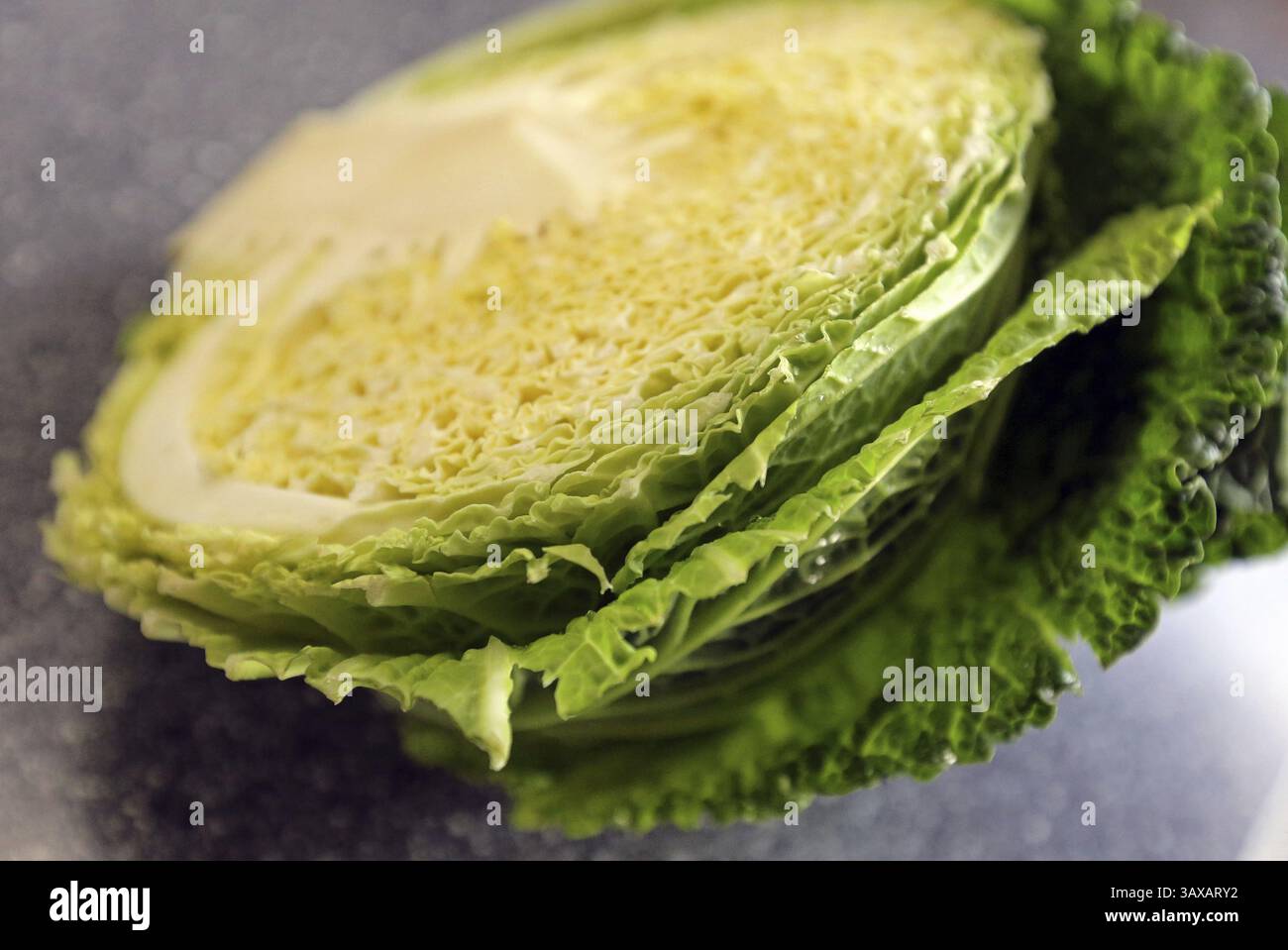 Cavolo savoy a fette Foto Stock