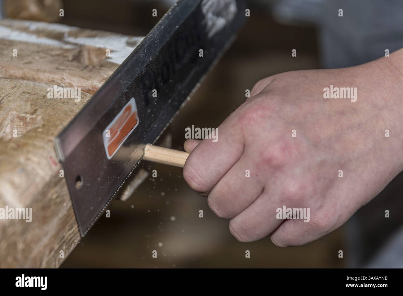 Operaio esperto che sega tasselli in legno con una sega manuale - primo piano Foto Stock