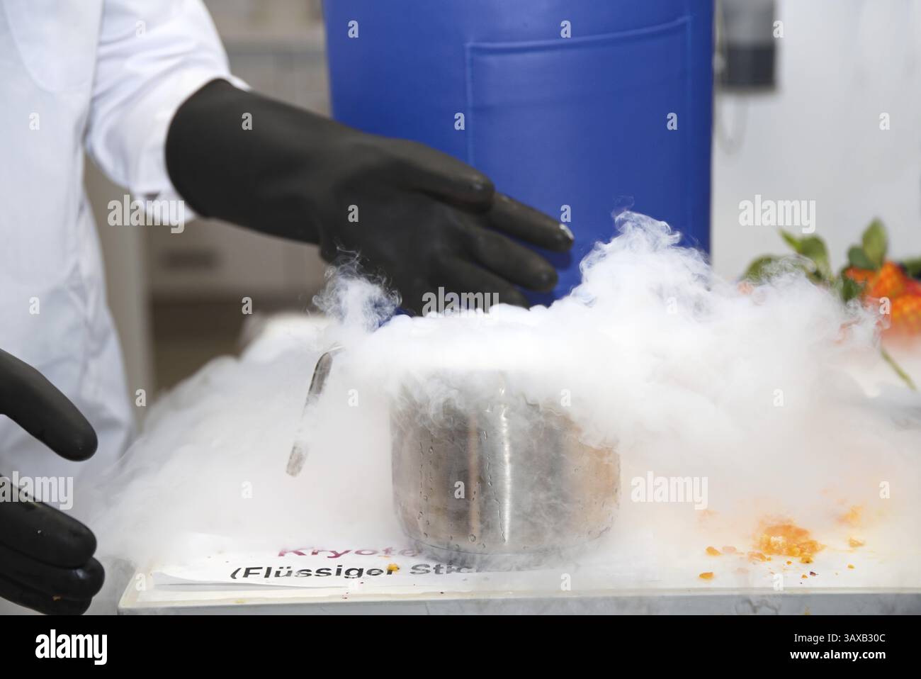 Sperimenta con l'azoto liquido - primo piano delle mani accanto all'azoto vaporizzato Foto Stock