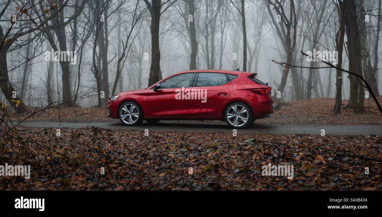 ed FA SEDERE Leon su una strada nella foresta autunnale nella nebbia. Vista laterale della berlina spagnola su una strada stretta nel bosco al mattino nebbiosa. Foto Stock