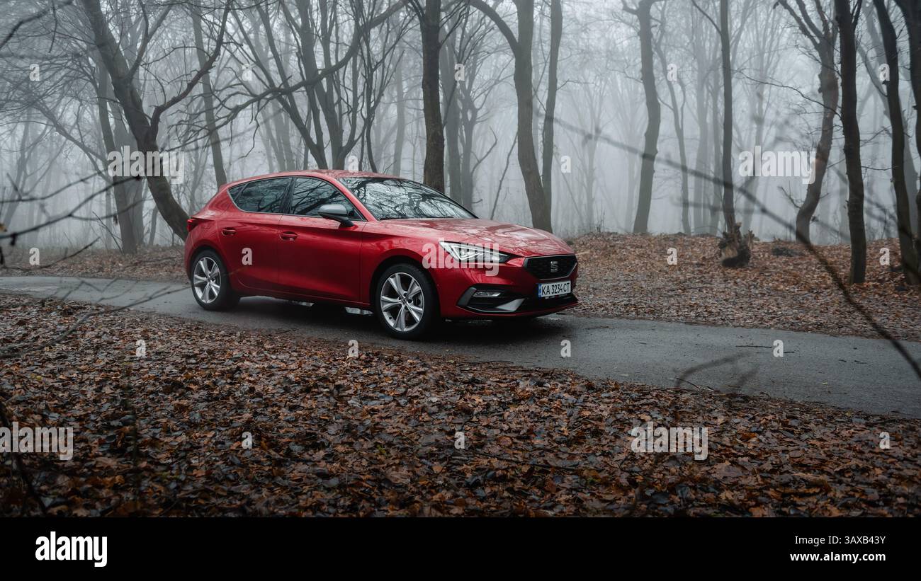 POSTO rosso Leon su una strada nella foresta autunnale nella nebbia. Vista frontale di tre quarti della berlina spagnola su una strada stretta nel bosco al mattino nebbiosa. Foto Stock