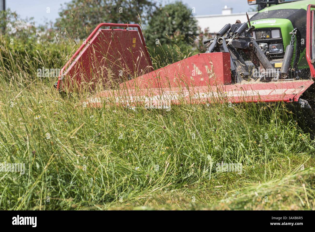 Falciatura meccanica di foraggio verde con un trattore e un rasaerba anteriore - dettaglio Foto Stock