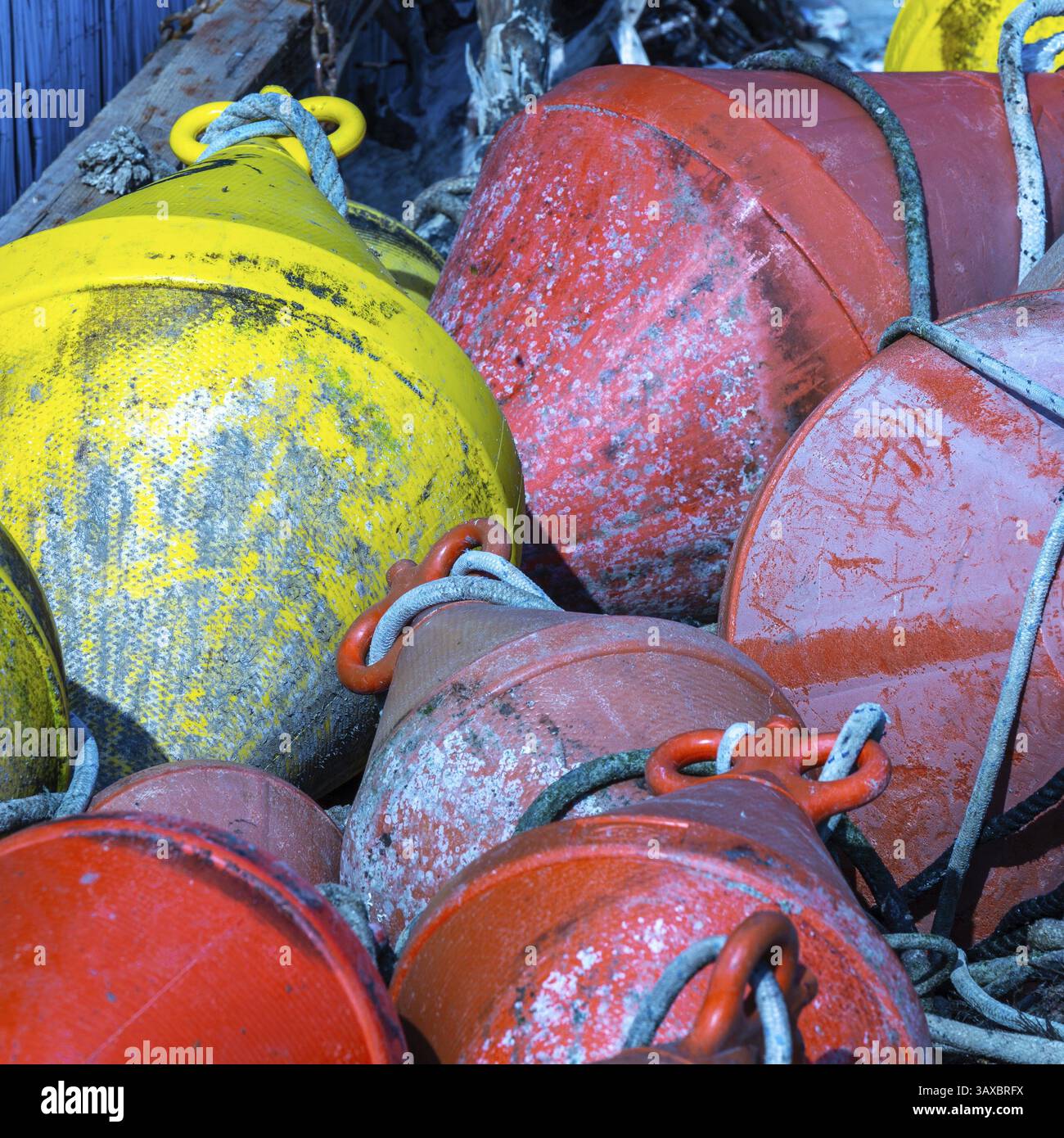 La boa. Alcuni dispositivi colorati possono ormeggiare imbarcazioni Foto Stock La boa. Alcuni dispositivi colorati possono ormeggiare imbarcazioni Foto Stock