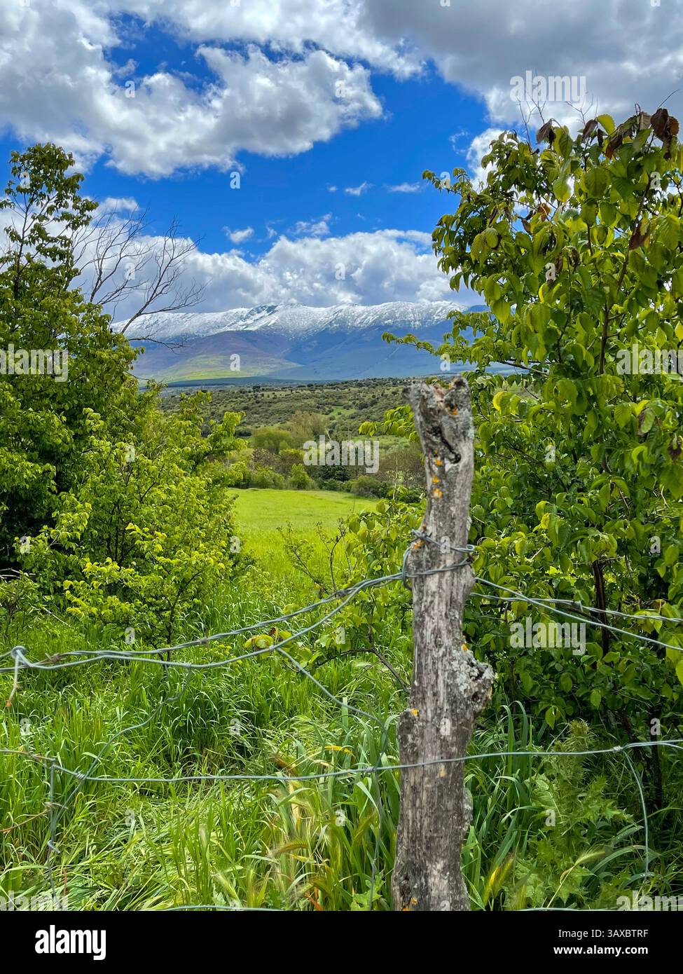 La molla del paesaggio. - Immagine stock catturata con smartphone
