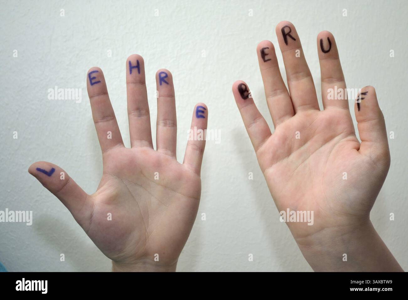 Metafora dell'insegnamento e della professione Foto Stock