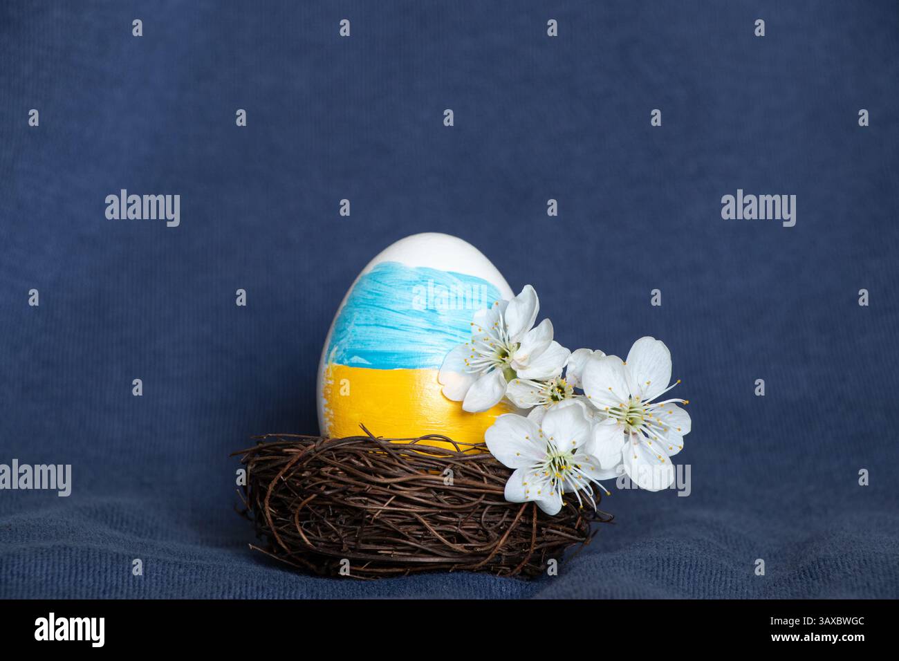 Un uovo di Pasqua dipinto nei colori della bandiera Ucraina e un ramo di albicocche in fiore è in un nido su sfondo blu, Pasqua in Ucraina Foto Stock