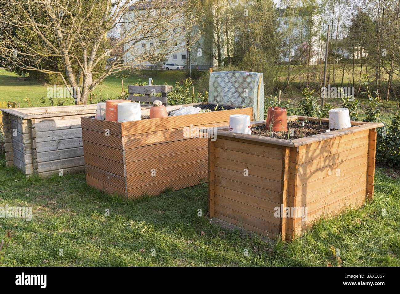 Letti da giardino piantati in primavera - giardino privato in letti rialzati Foto Stock