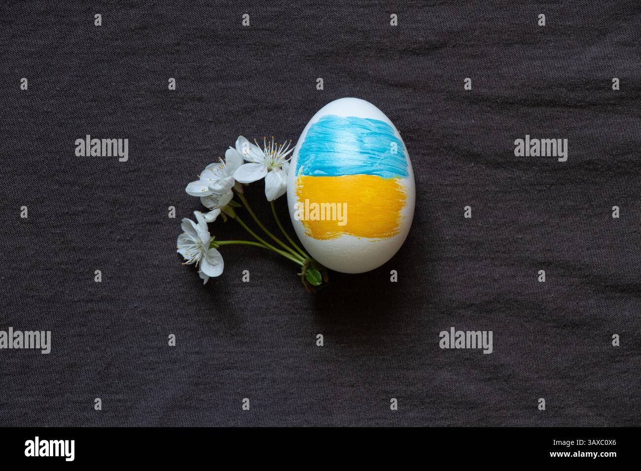Uovo di Pasqua dipinto nei colori della bandiera Ucraina e un ramo di fiori di ciliegio su sfondo grigio, Pasqua in Ucraina Foto Stock