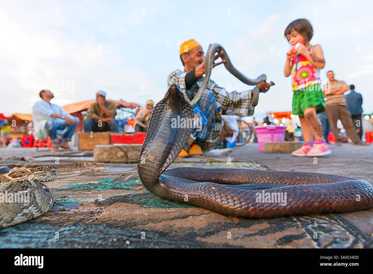 Serpenti che si esibiscono al Djemma El Fna di Marrakech, Marocco Foto Stock