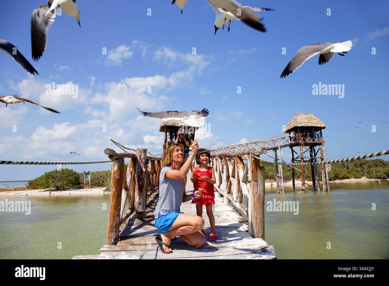 Donna e ragazza che danno da mangiare ai gabbiani sul molo di legno, sull'isola di Holbox, sulla penisola dello Yucatan, in Messico Foto Stock