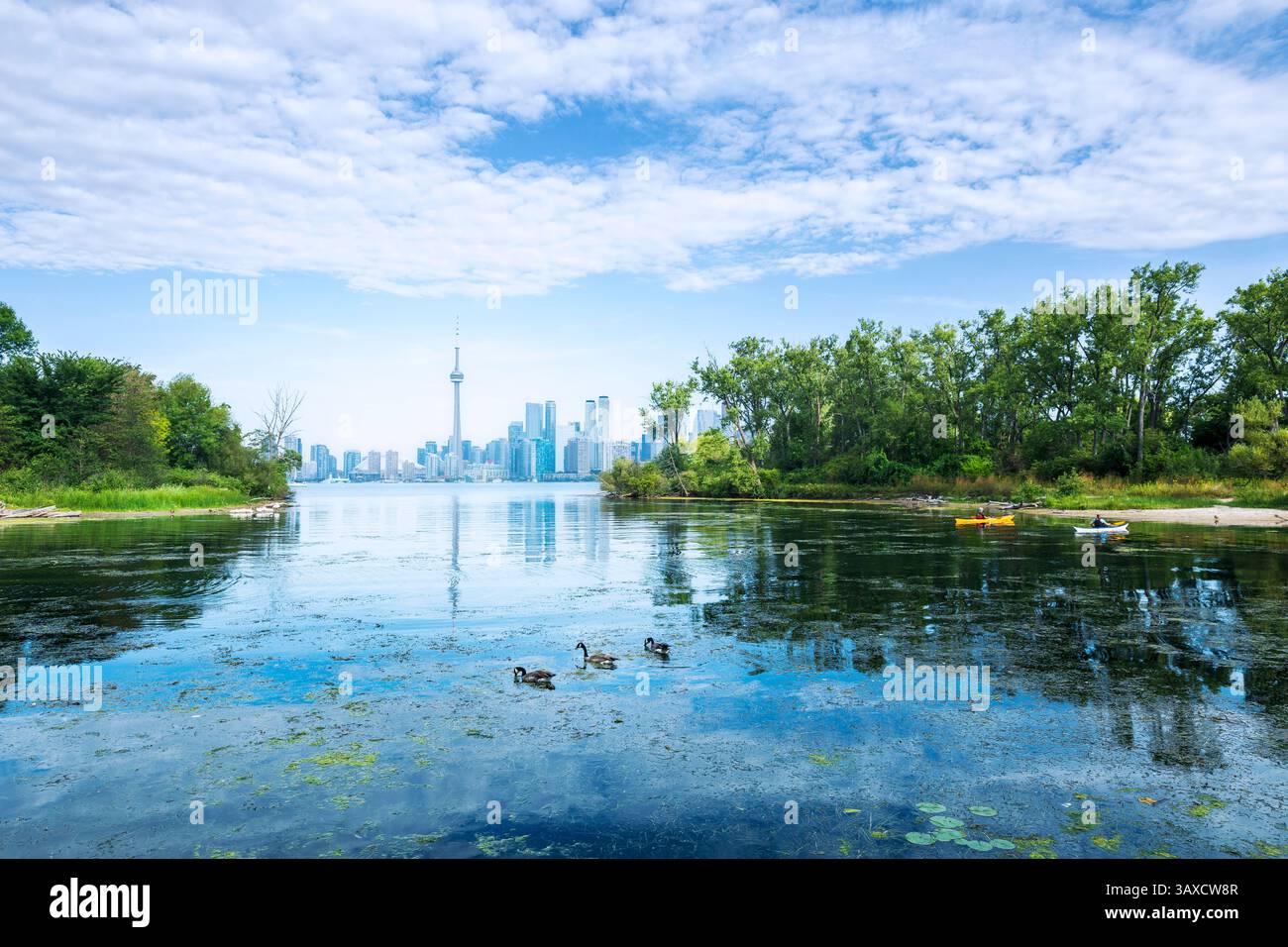 Skyline di Toronto visto da Wards Island, Ontario, Canada Foto Stock