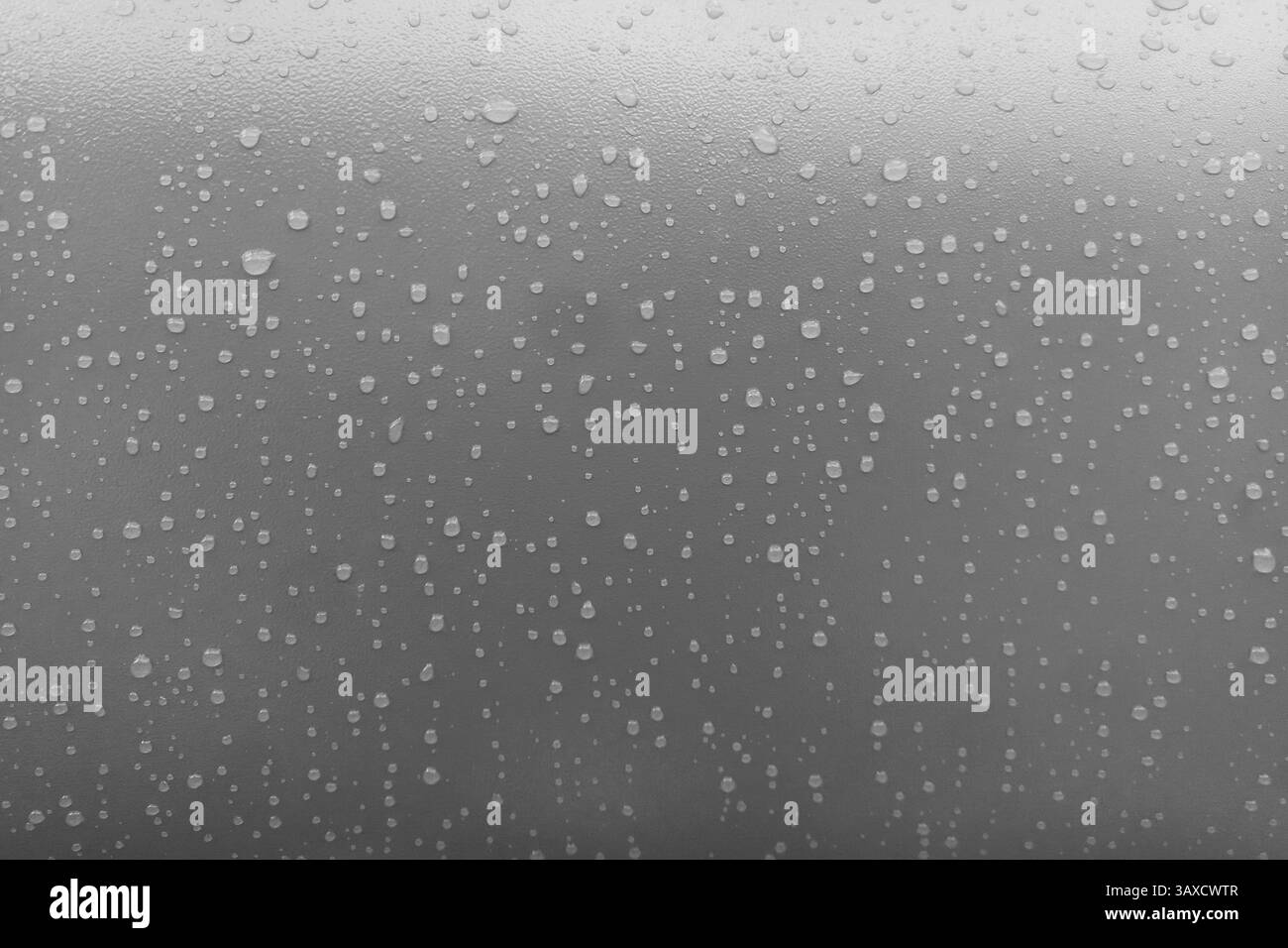 gocce d'acqua su sfondo uniforme di vernice metallica grigia Foto Stock