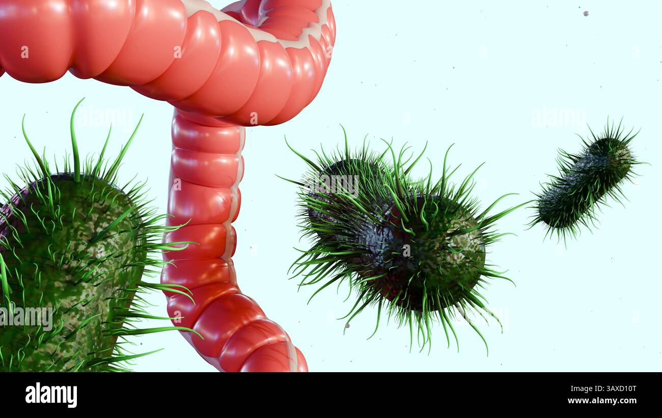 Rendering 3d del colon umano o dell'intestino crasso e dei batteri patogeni. Foto Stock