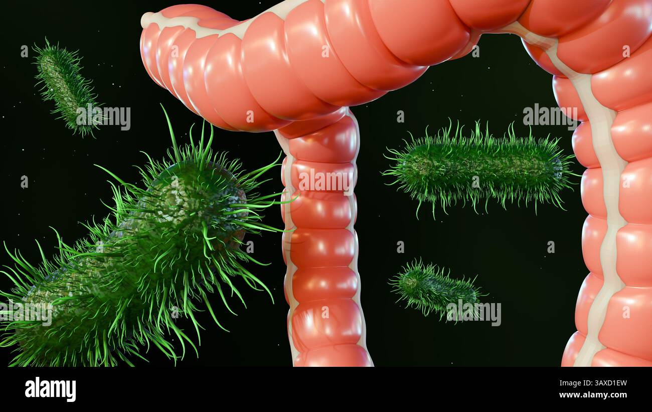 Rendering 3d del colon umano o dell'intestino crasso e dei batteri patogeni. Foto Stock