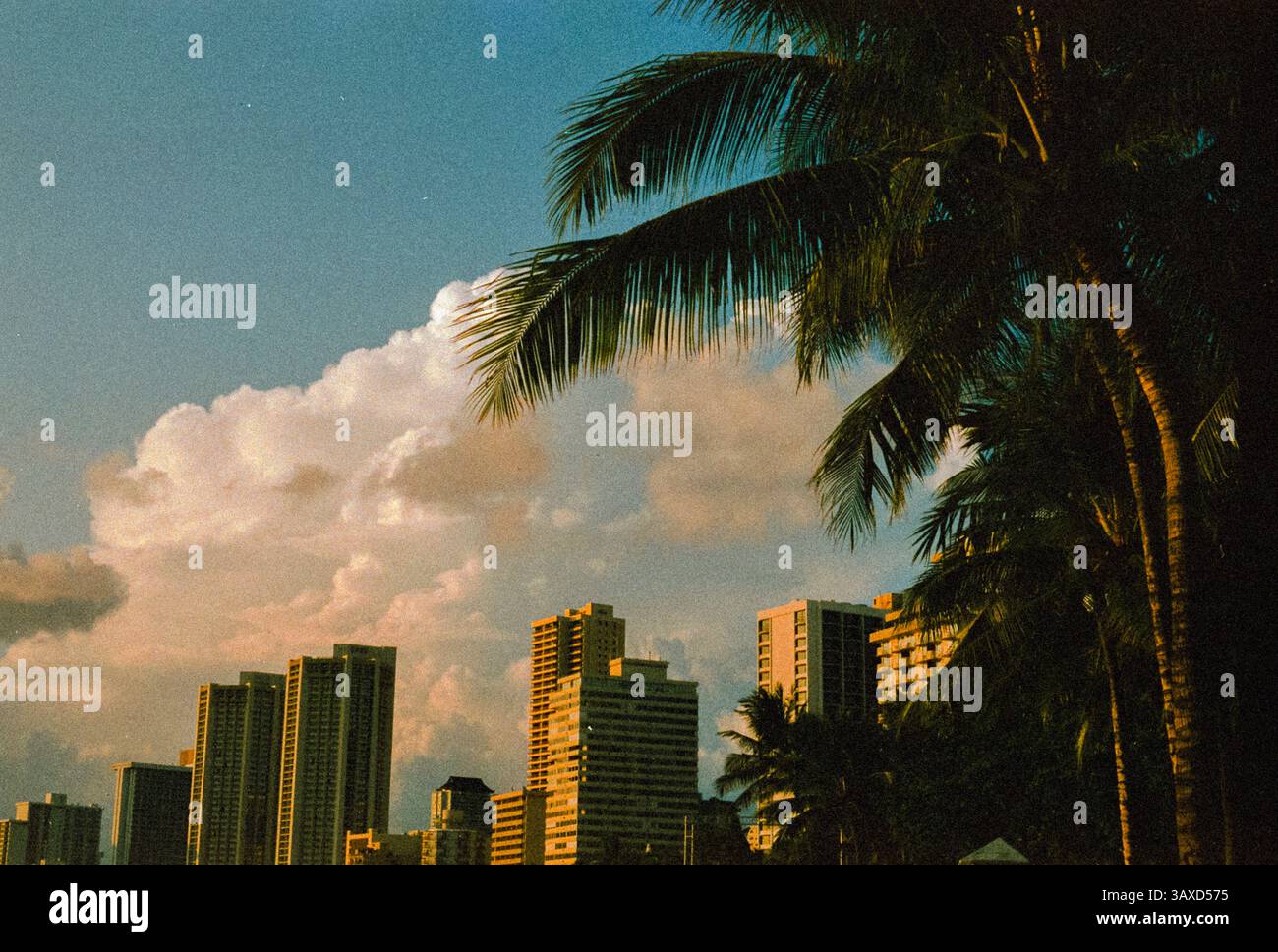 Le palme incorniciano uno skyline luminoso al tramonto Foto Stock