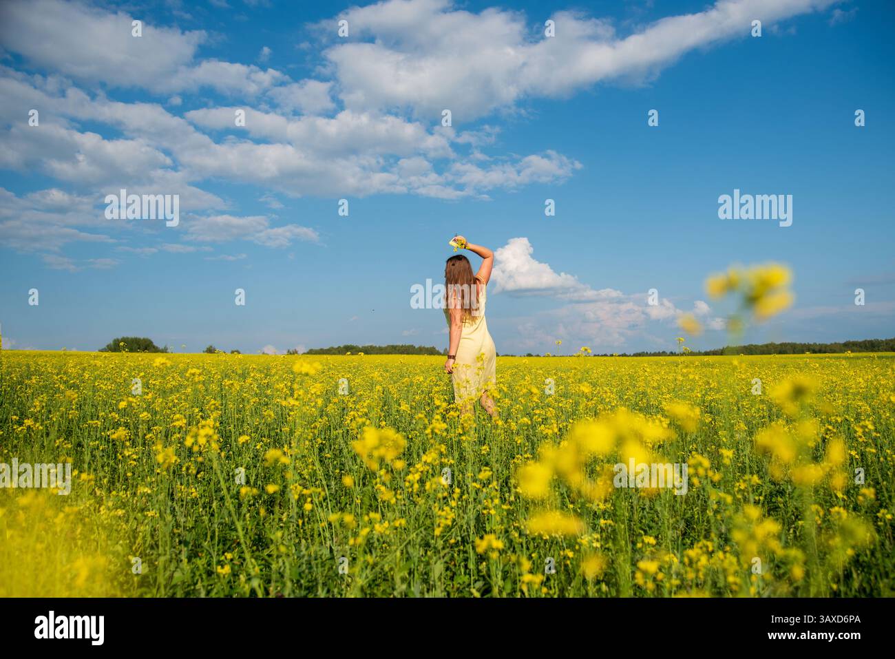 Una ragazza cammina attraverso un campo fiorito in una calda giornata estiva Foto Stock