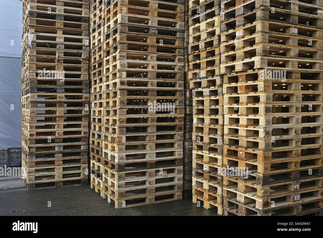 Pallet Foto Stock