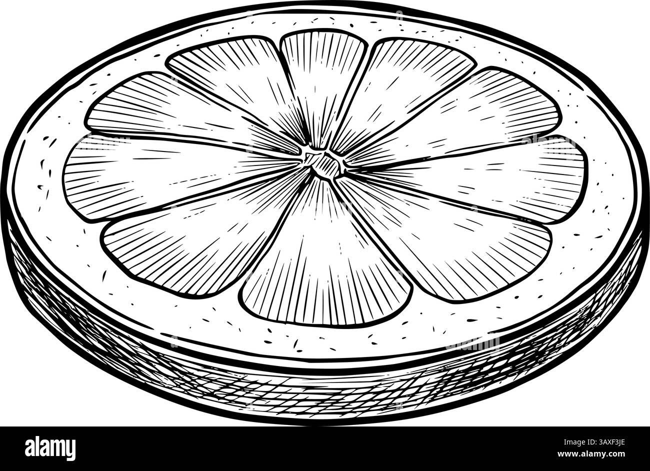 Disegno vettoriale in bianco e nero di un agrume fetta in stile incisione. Disegno di un pezzo di lime per menu o ricette di bevande. Incisione monocromatica dipinta da inchiostri neri per libri di cucina o menu vintage. Illustrazione Vettoriale