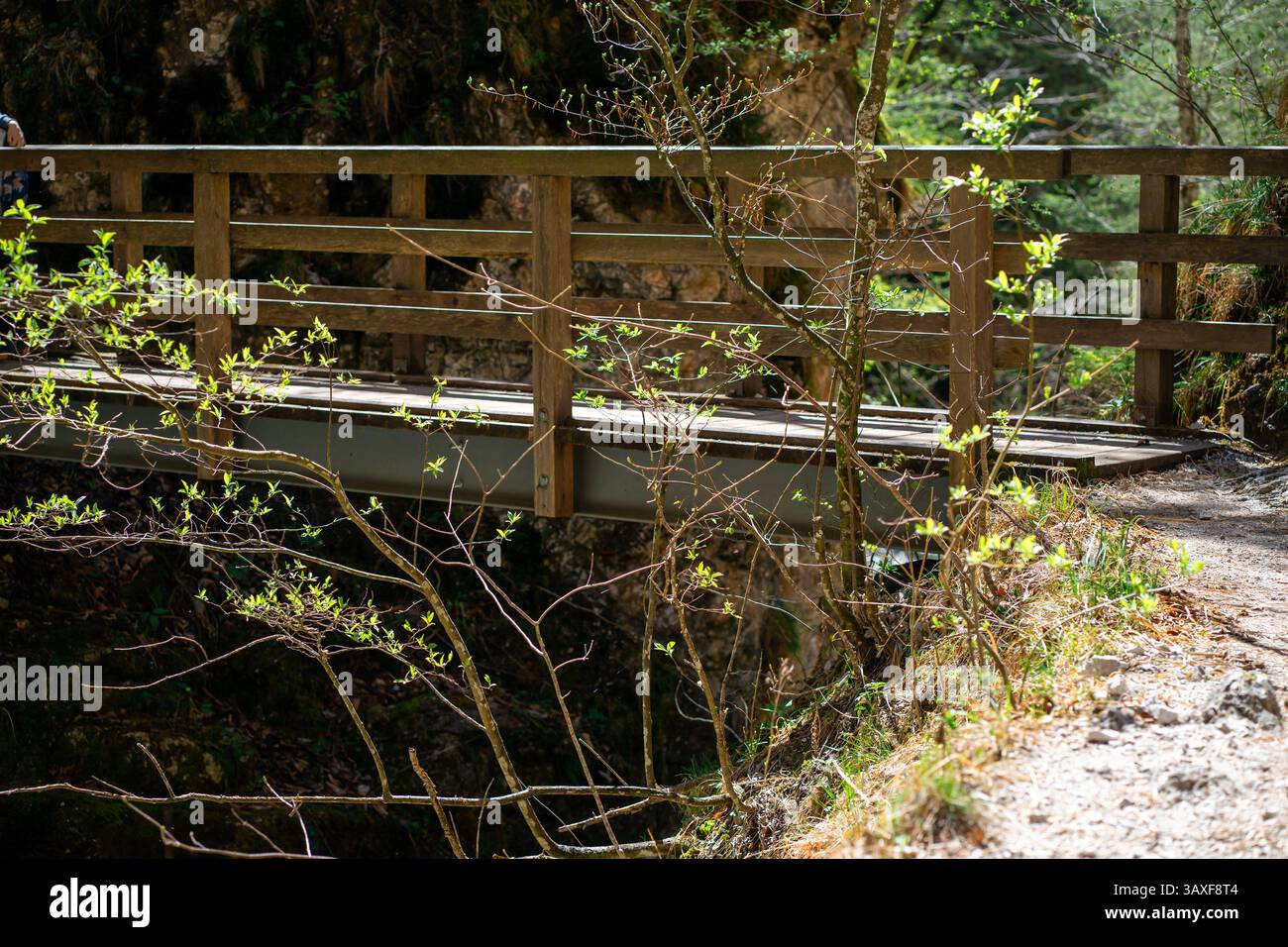 Vista di un piccolo ponte di legno su un fiume di montagna tra la foresta Foto Stock