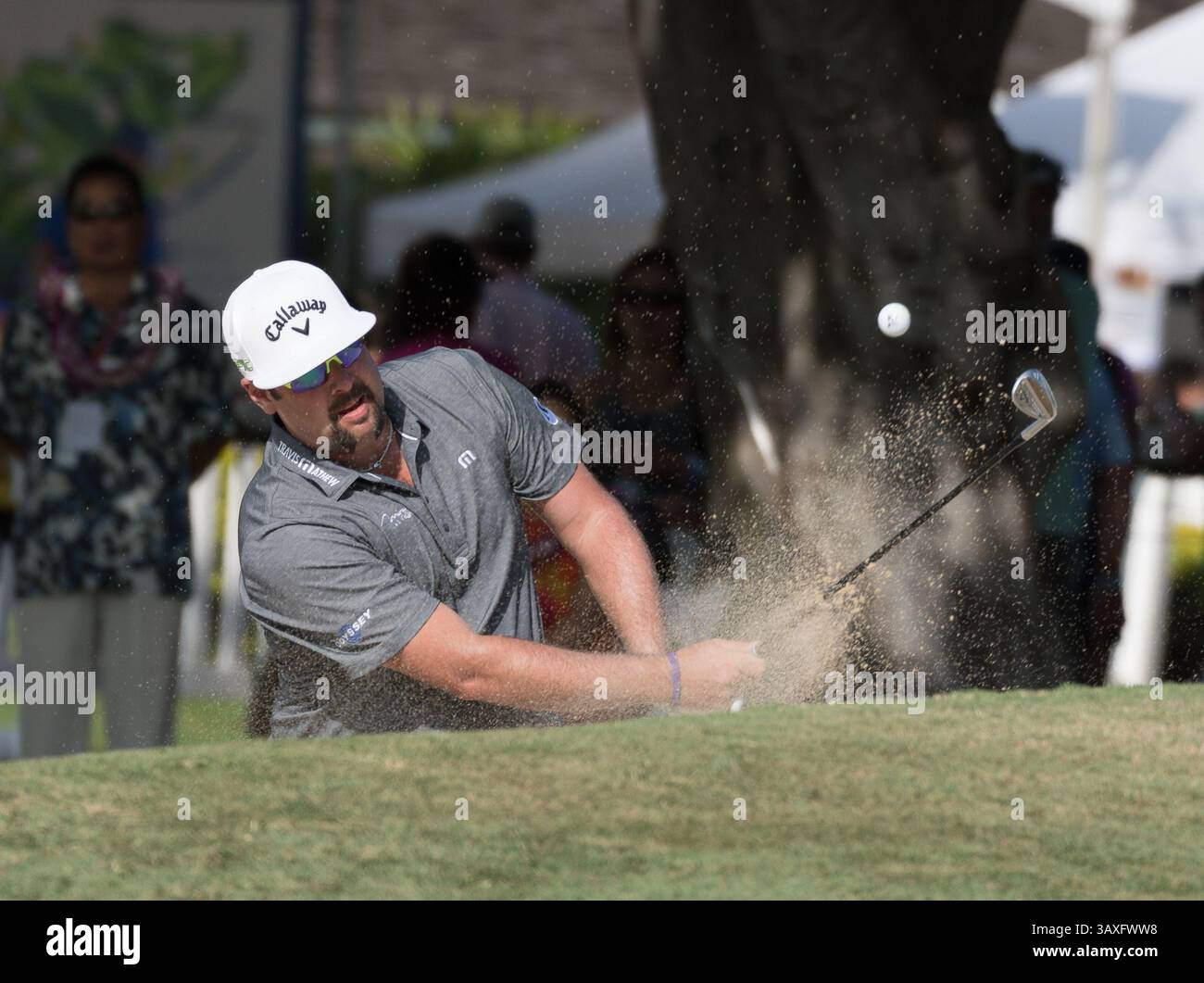15 gennaio 2017 - durante l'ultimo round del PGA Sony Open alle Hawaii al Waialae Country Club di Honolulu, HI. - Steven Erler/CSM(immagine di credito: &Copy; Steven Erler/CSM via cavo ZUMA) Foto Stock