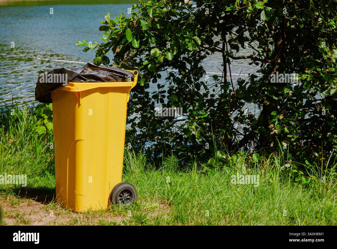 Cestino giallo brillante vicino al lago in un parco lussureggiante. Weekend vicino alla foresta e al lago. Foto Stock