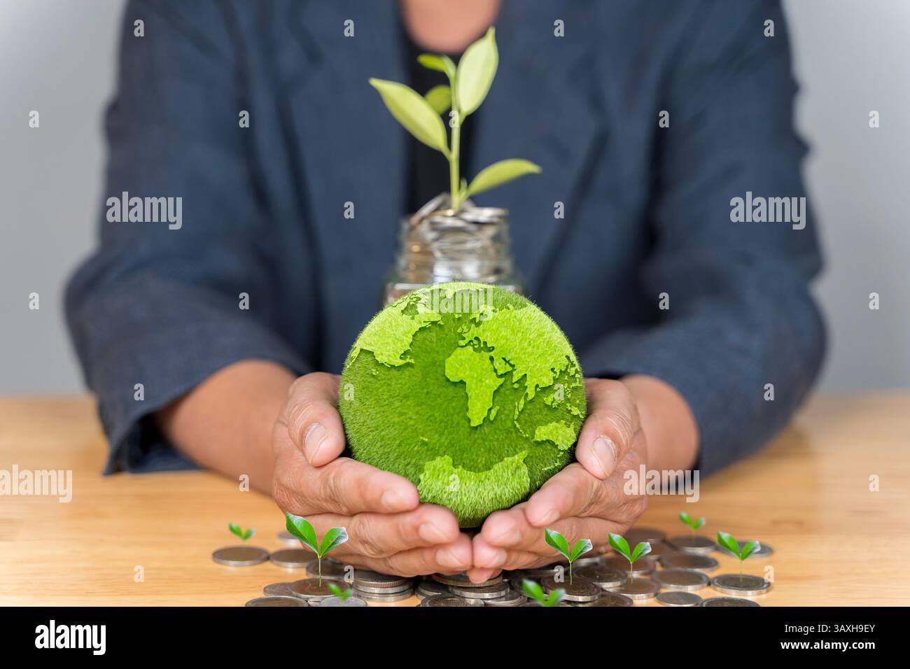 Mani che reggono un piccolo globo con un germoglio, simboleggiano la tutela dell'ambiente, la sostenibilità e la consapevolezza globale per iniziative e conse ecocompatibili Foto Stock