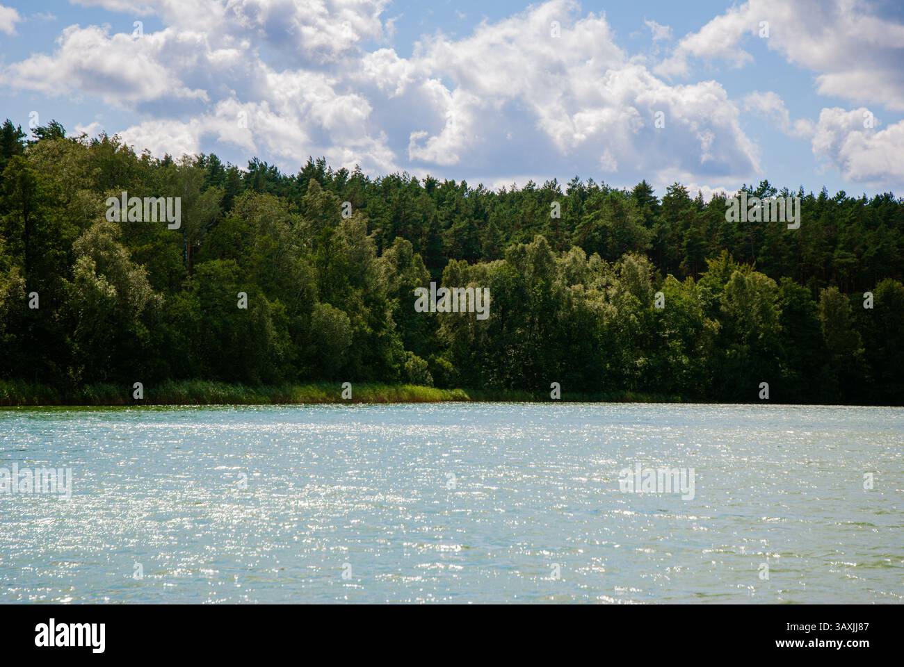 Tranquillo lago estivo con foresta e cielo nuvoloso - paesaggio naturale per relax e ispirazione. Weekend vicino alla foresta e al lago. Foto Stock