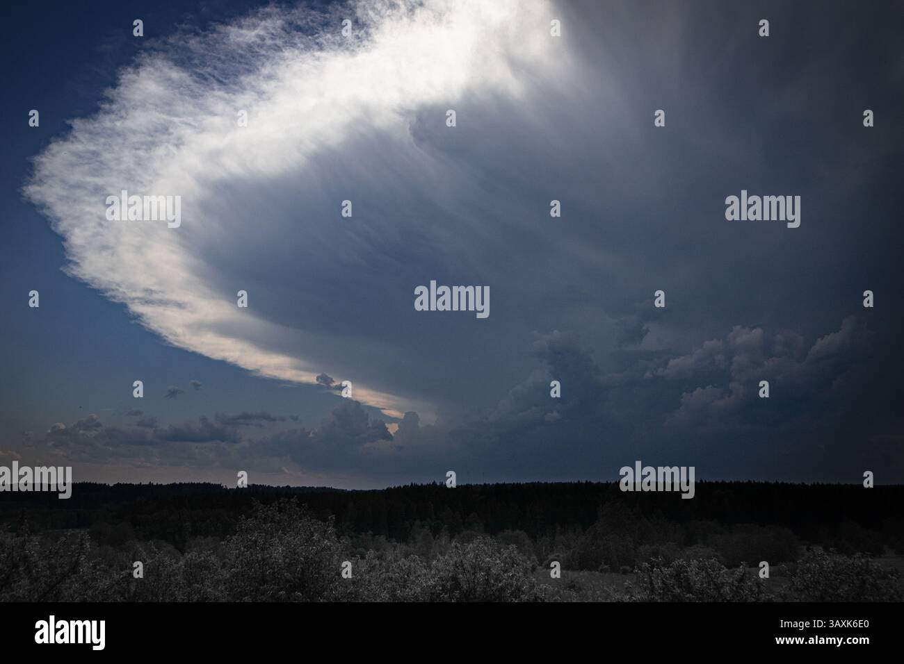 Un'enorme nube di temporale supercell si forma sopra l'orizzonte di una foresta, con la sua struttura a forma di incudine fortemente illuminata contro il cielo in profondità Foto Stock