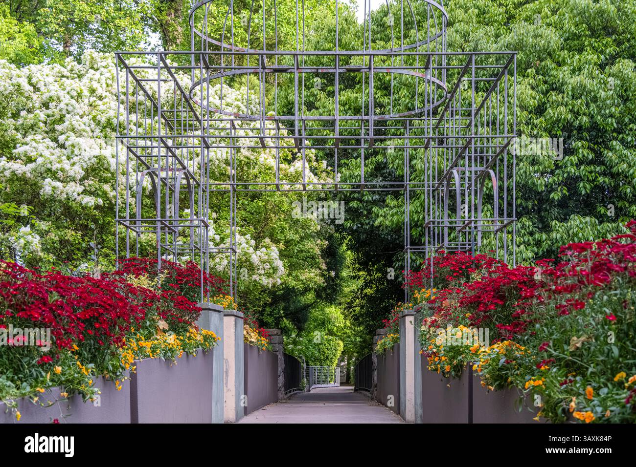 Splendidi fiori primaverili lungo una passerella all'Atlanta Botanical Garden a Midtown Atlanta, Georgia. (USA) Foto Stock